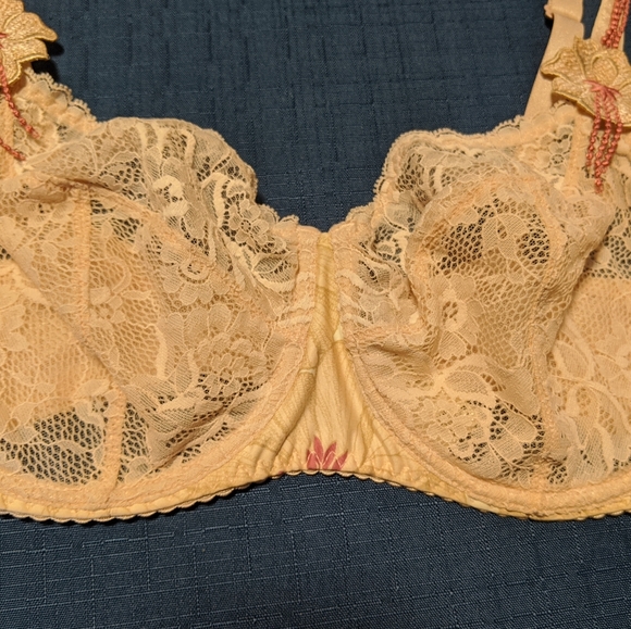 Aubade Paris Reine du Carnaval Bra - Picture 4 of 10